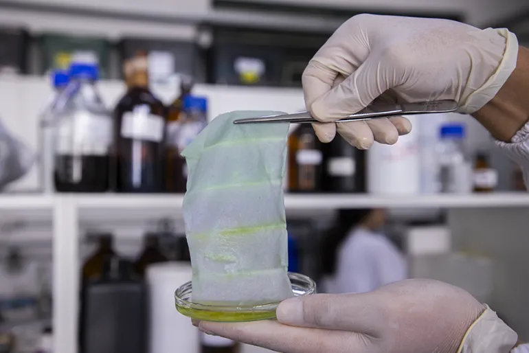 Embalagem brasileira muda de cor e indica deterioração de alimentos