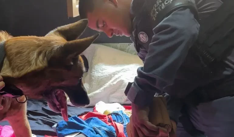 Choque de ordem: Colatina cumpre mandado judicial e reforça fiscalização em casas noturnas