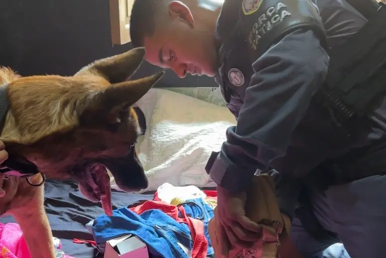 Choque de ordem: Colatina cumpre mandado judicial e reforça fiscalização em casas noturnas