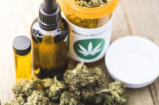 OAB Vila Velha discute uso da cannabis medicinal com foco na legislação
